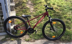 KTM Penny Lane 272 (Junior)